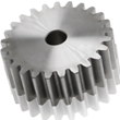 Spur Gear